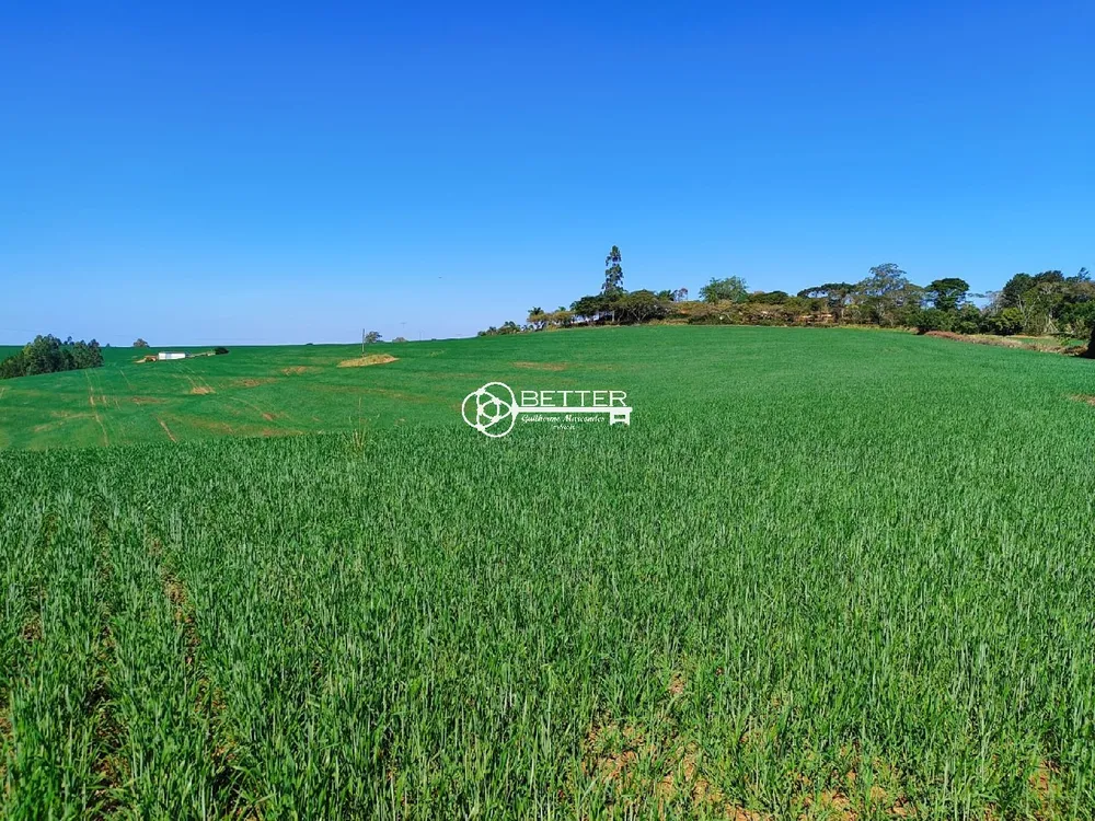 Fazenda, 136 m² - Foto 10