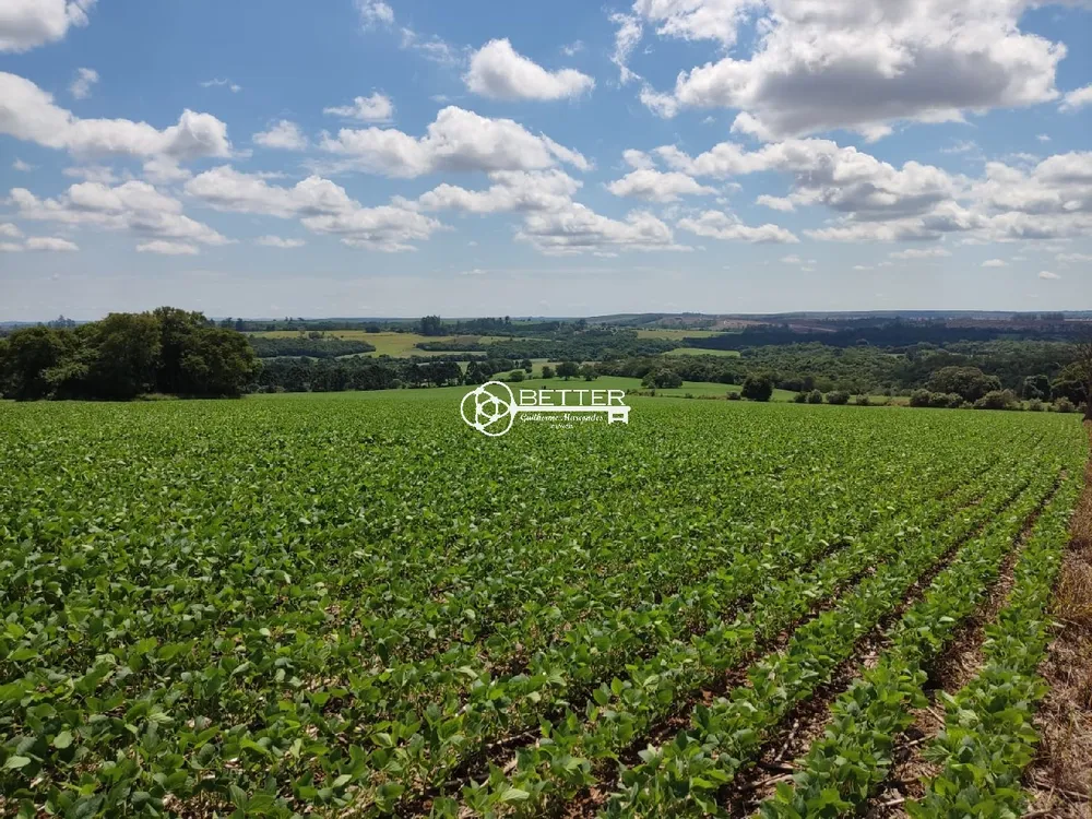 Fazenda, 136 m² - Foto 13