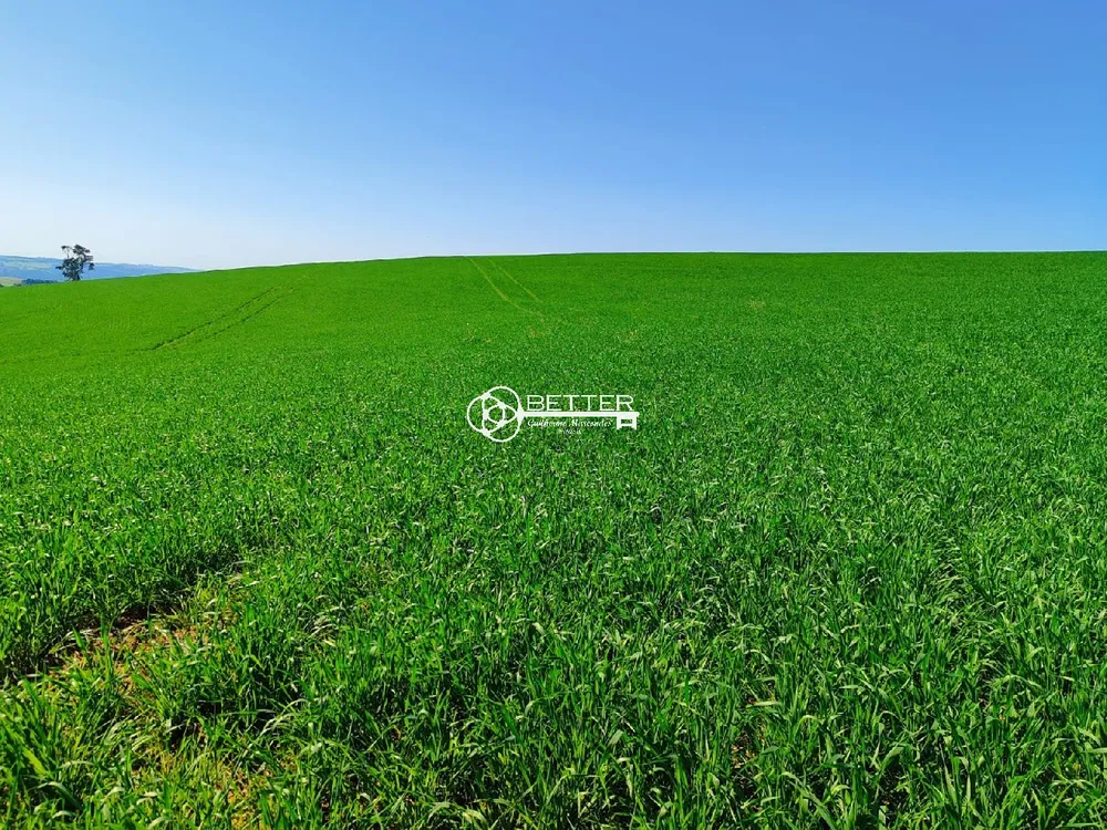 Fazenda, 136 m² - Foto 8