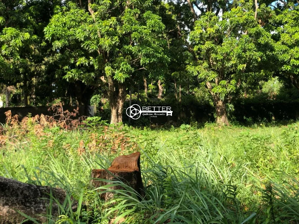 Terreno, 1450 m² - Foto 4