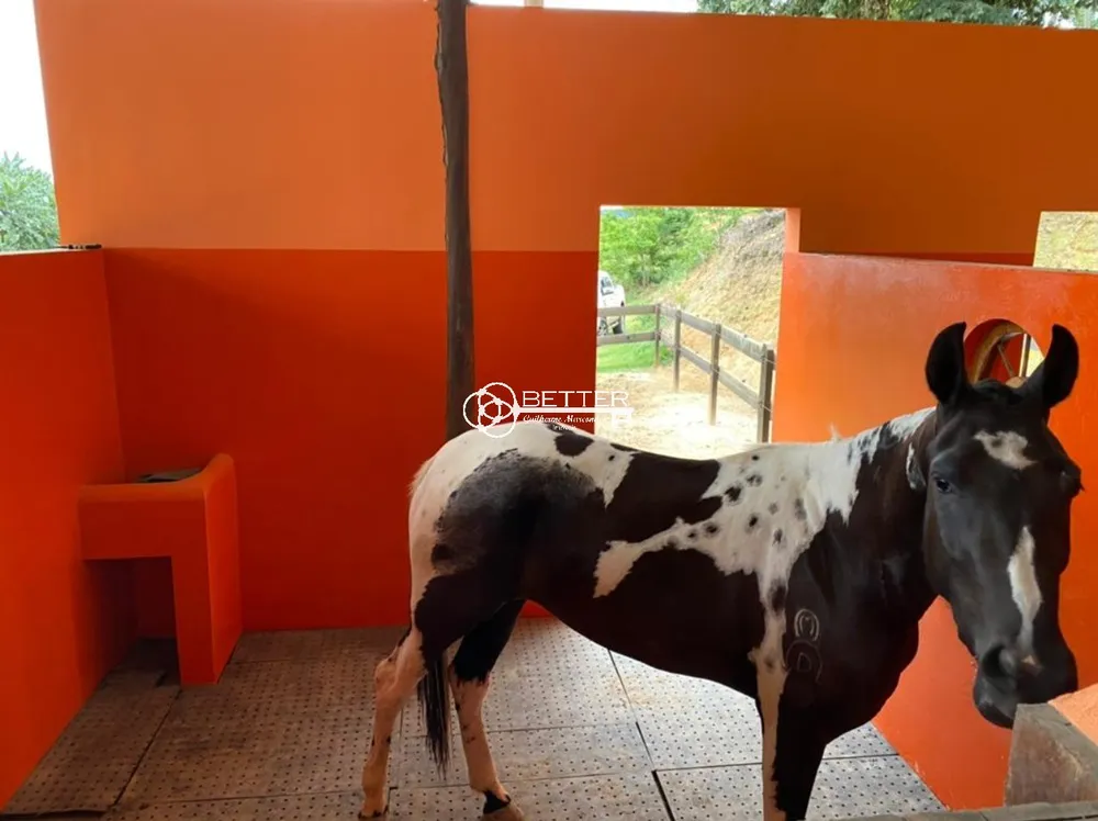 Fazenda, 2 m² - Foto 5