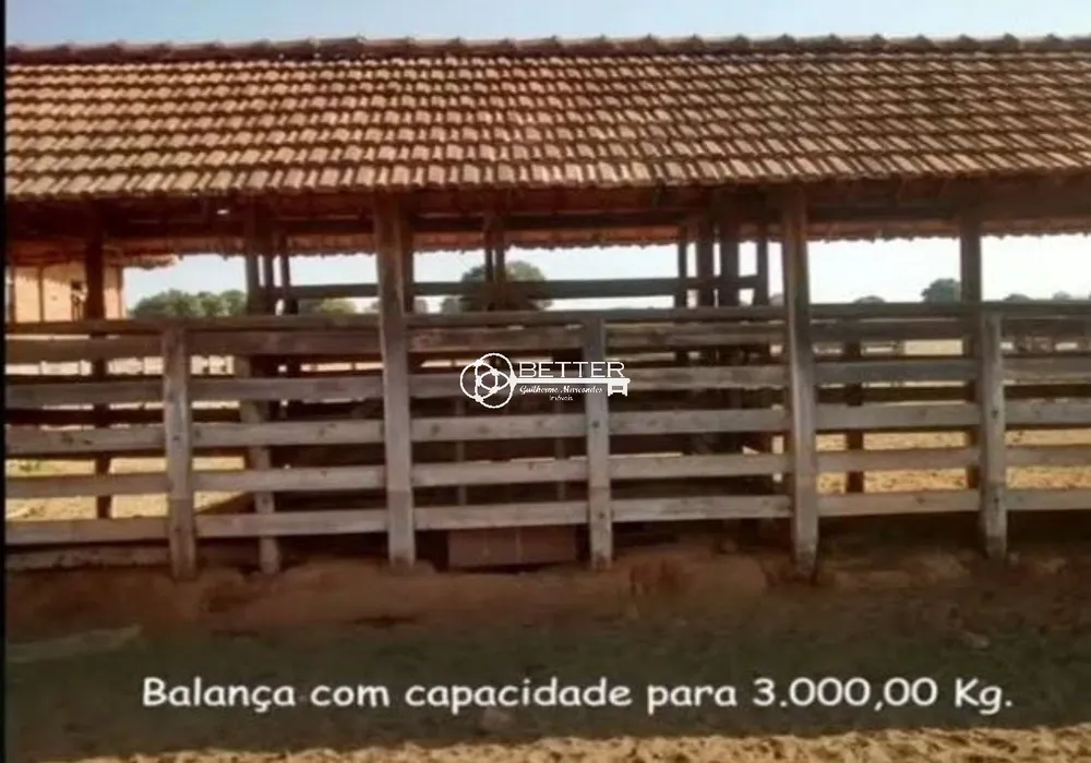 Fazenda, 4184 m² - Foto 11