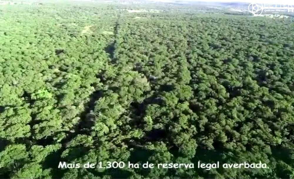 Fazenda, 1744 m² - Foto 3