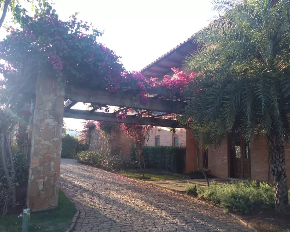 Casa, 6 quartos - Foto 2