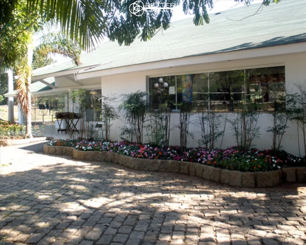 Casa, 6 quartos - Foto 12
