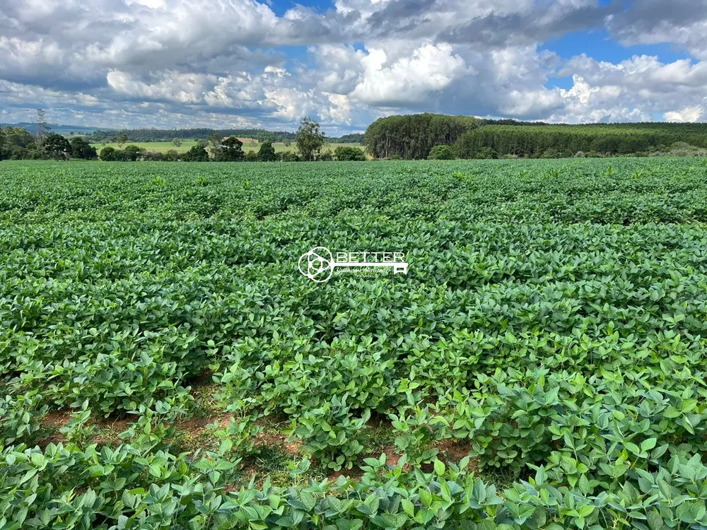 Fazenda, 1 quarto - Foto 11