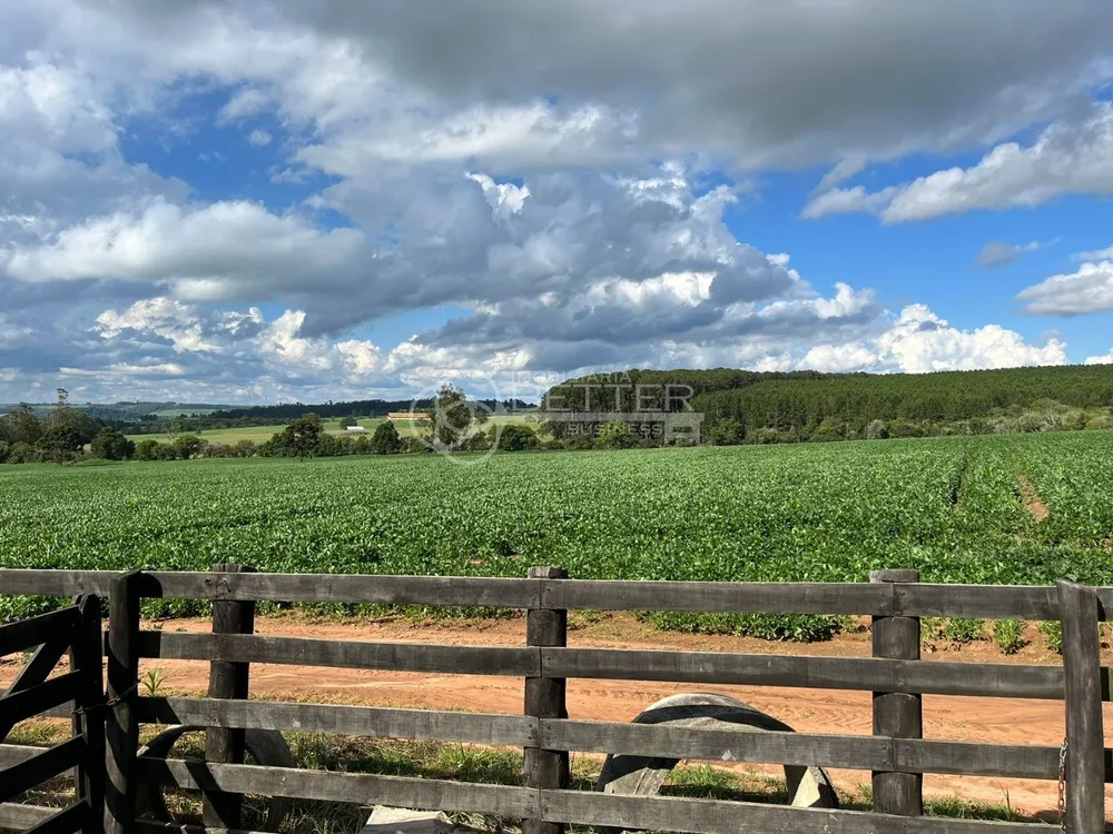 Fazenda, 1 quarto - Foto 16