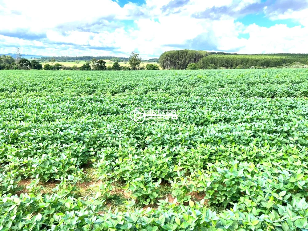 Fazenda, 1 quarto - Foto 1