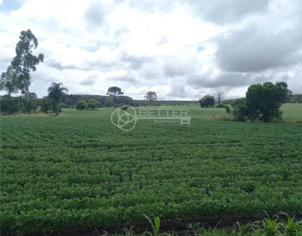 Fazenda, 1 quarto - Foto 4