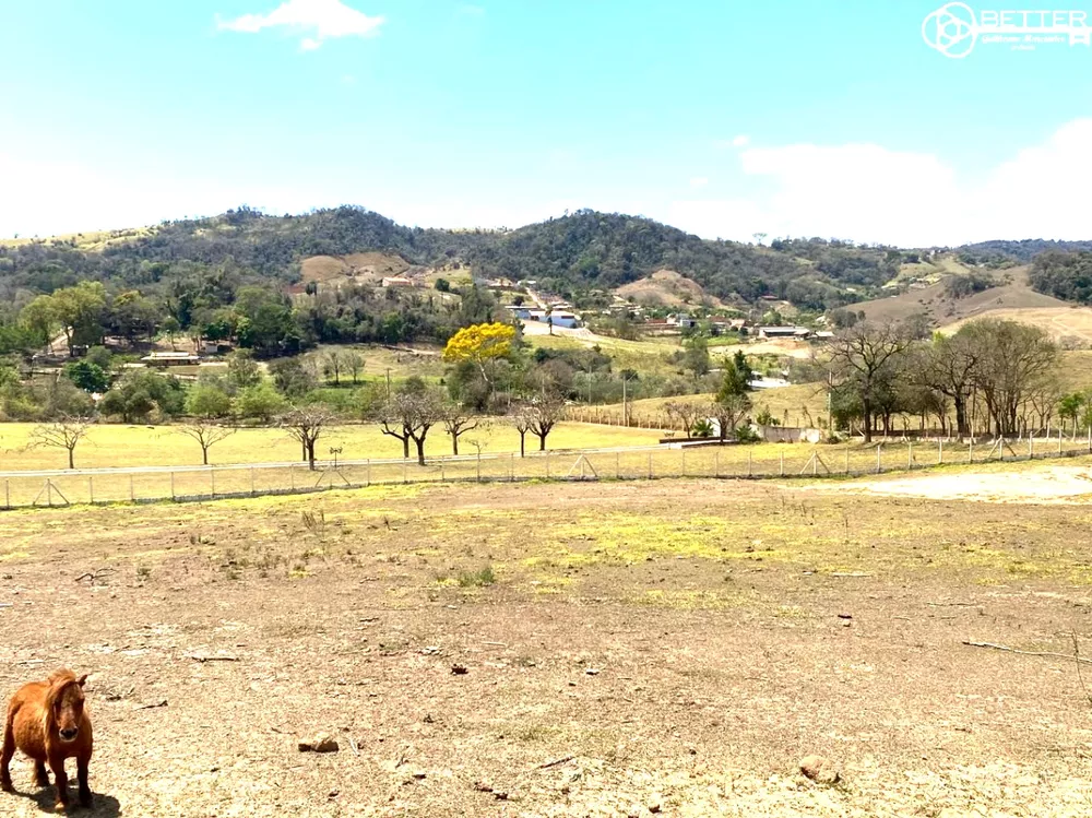 Terreno, 2 hectares - Foto 4
