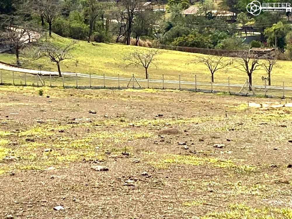 Terreno, 2 hectares - Foto 10