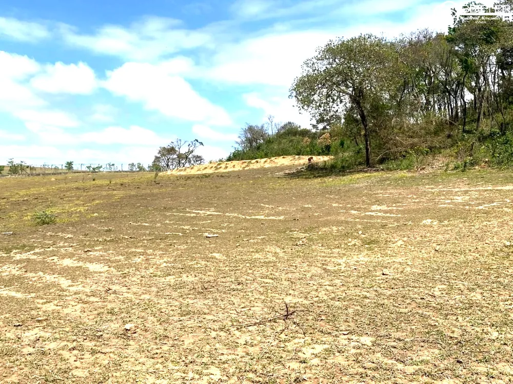 Terreno, 2 hectares - Foto 11