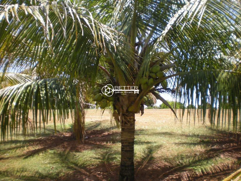 Fazenda, 56 m² - Foto 10