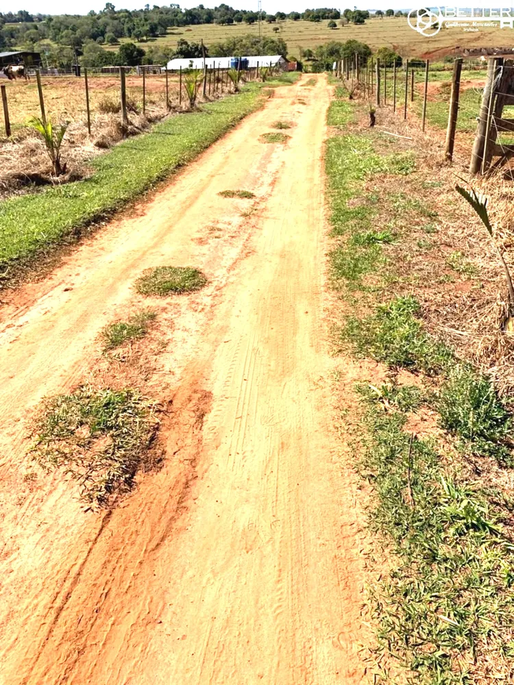 Chácara, 1 quarto, 7 hectares - Foto 16