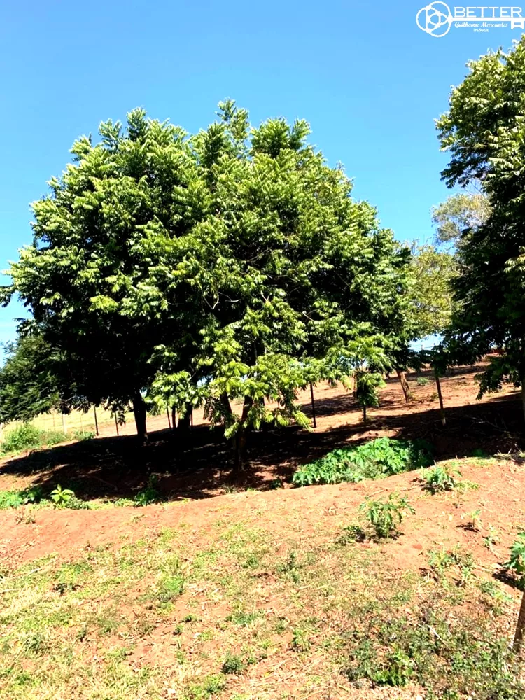 Chácara, 1 quarto, 7 hectares - Foto 2