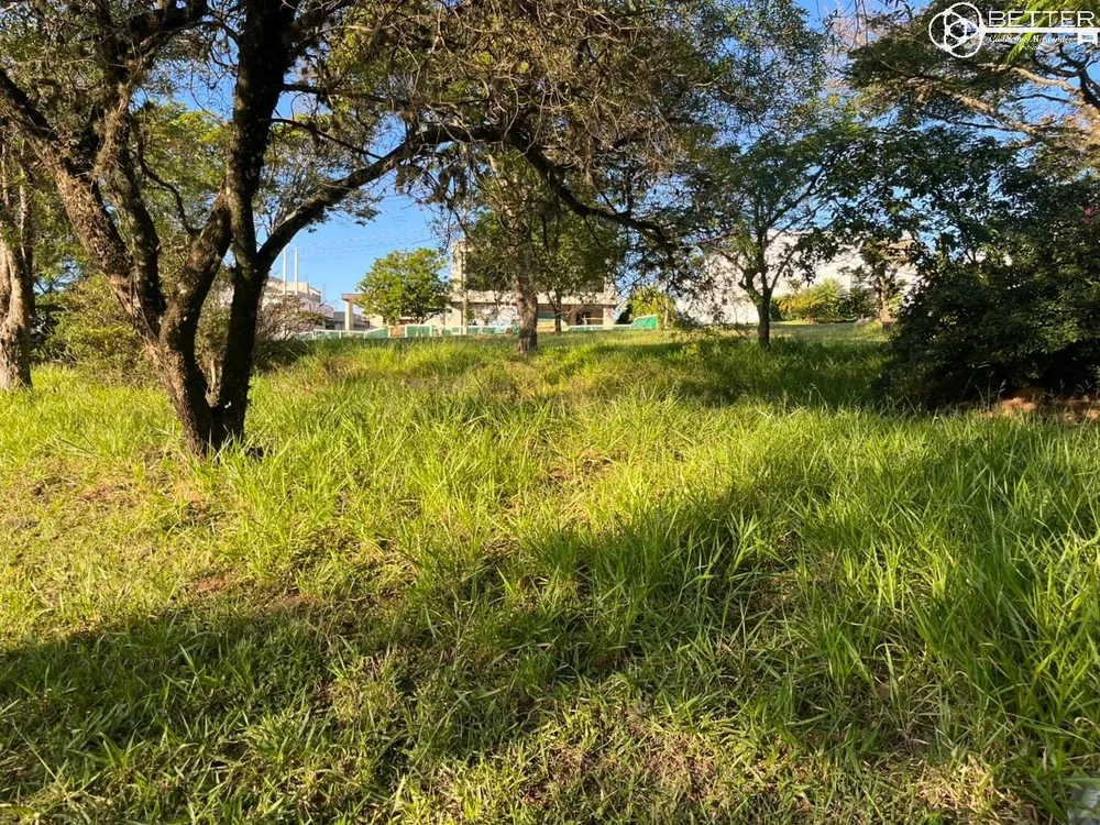 Terreno, 2002 m² - Foto 6