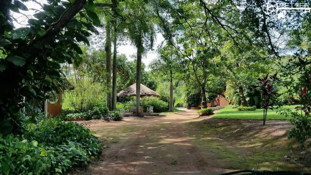 Fazenda, 34 m² - Foto 2