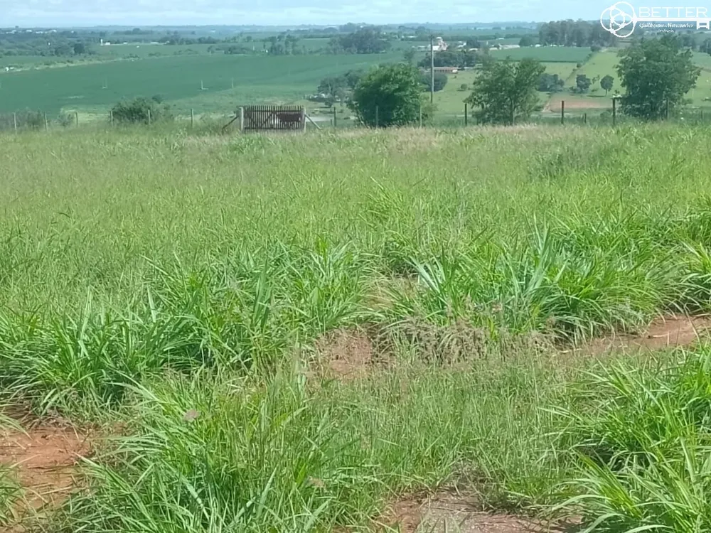 Fazenda, 4 m² - Foto 2