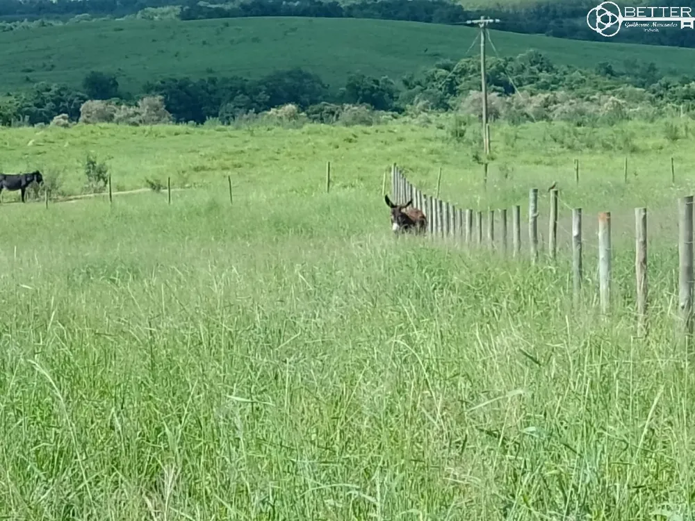 Fazenda, 4 m² - Foto 1