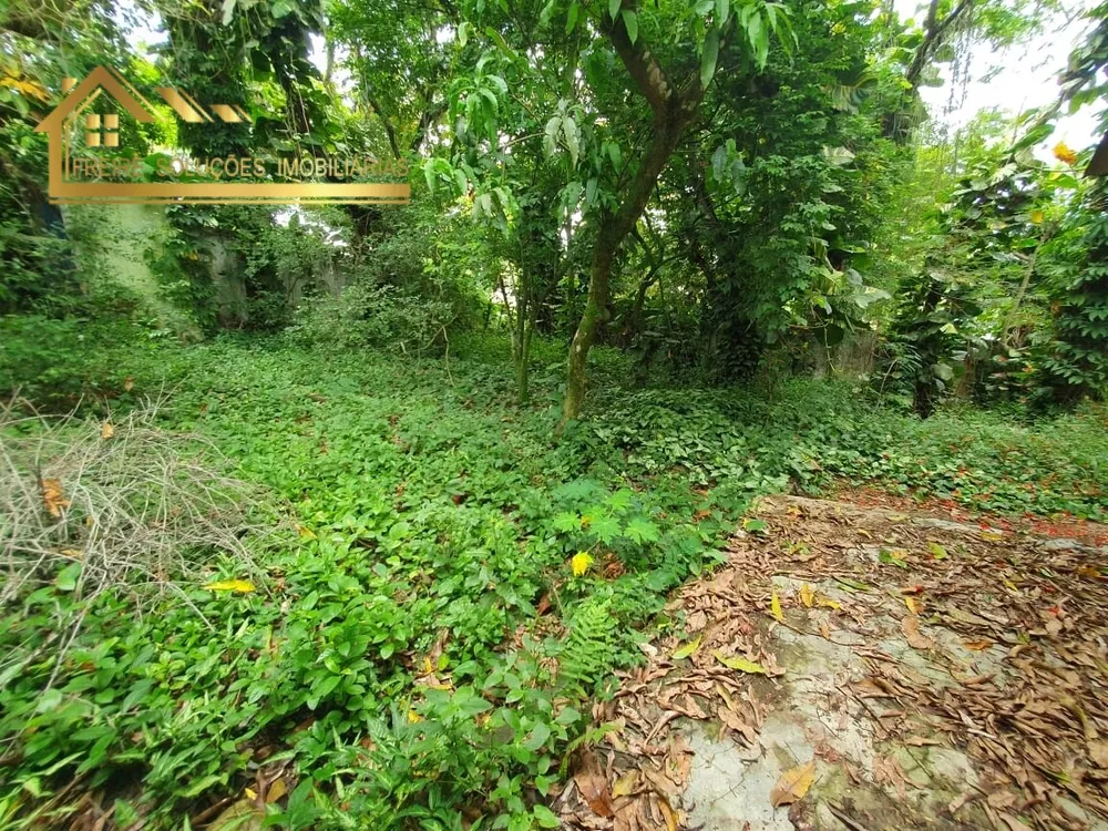 Terreno, 3000 m² - Foto 24