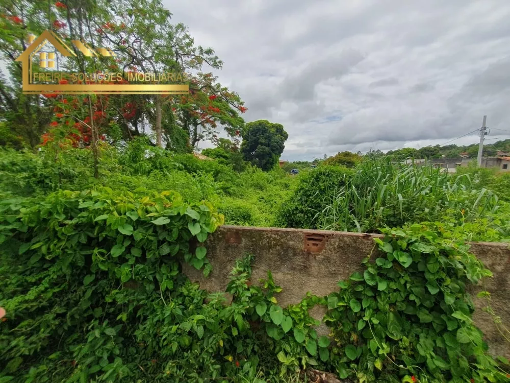 Terreno, 3000 m² - Foto 5