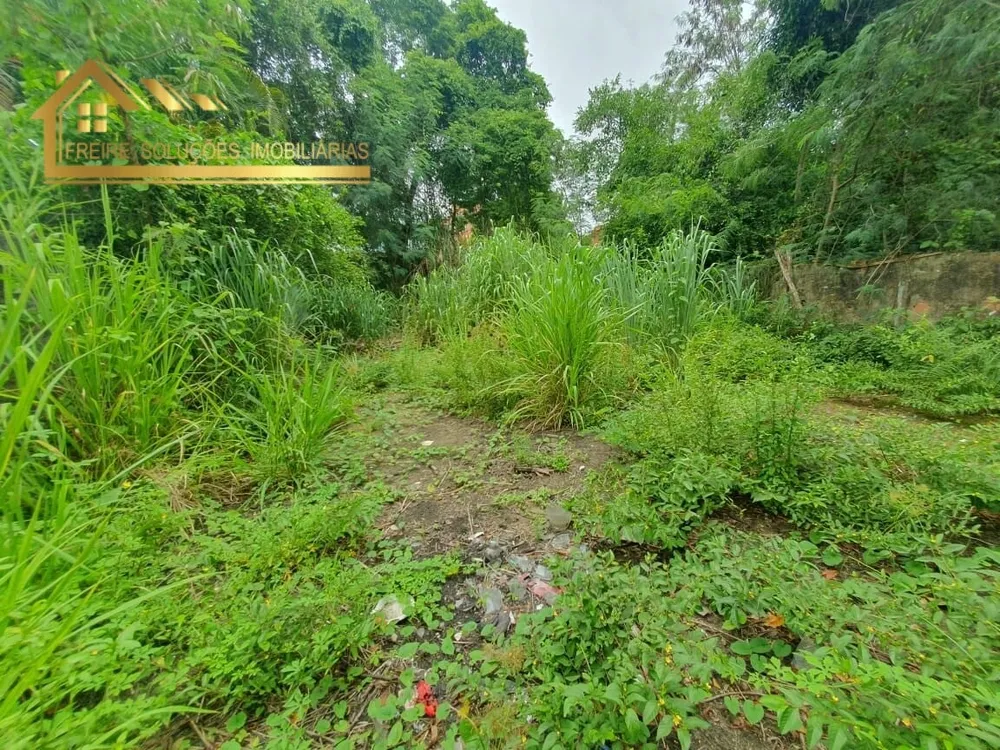 Terreno, 2800 m² - Foto 7