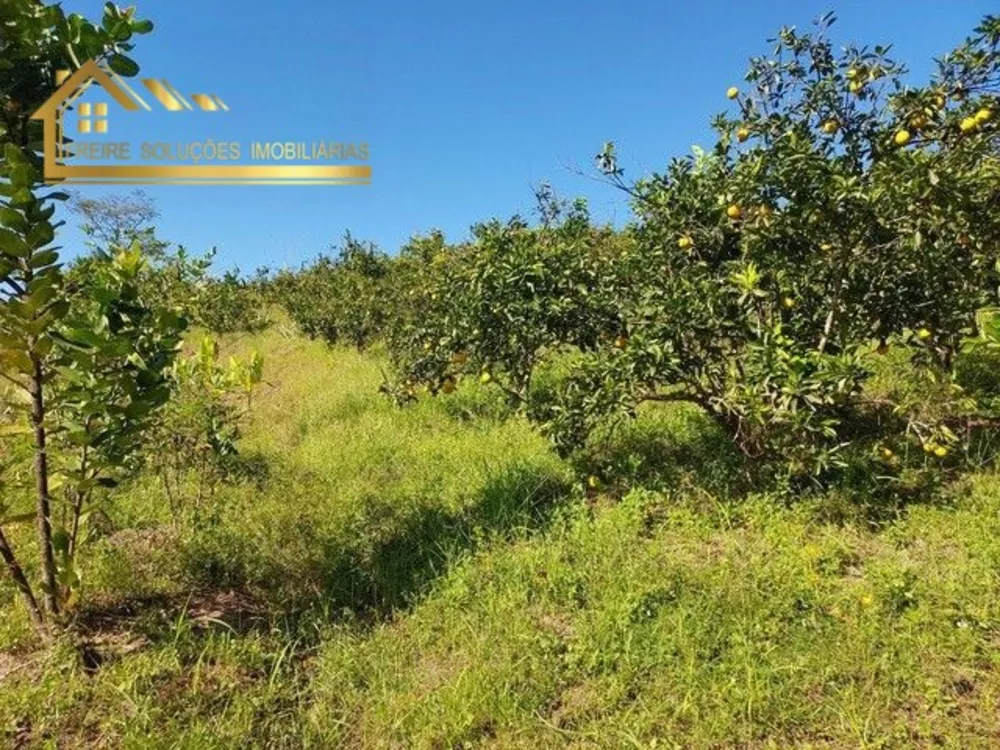 Sítio, 4 quartos, 38 hectares - Foto 4