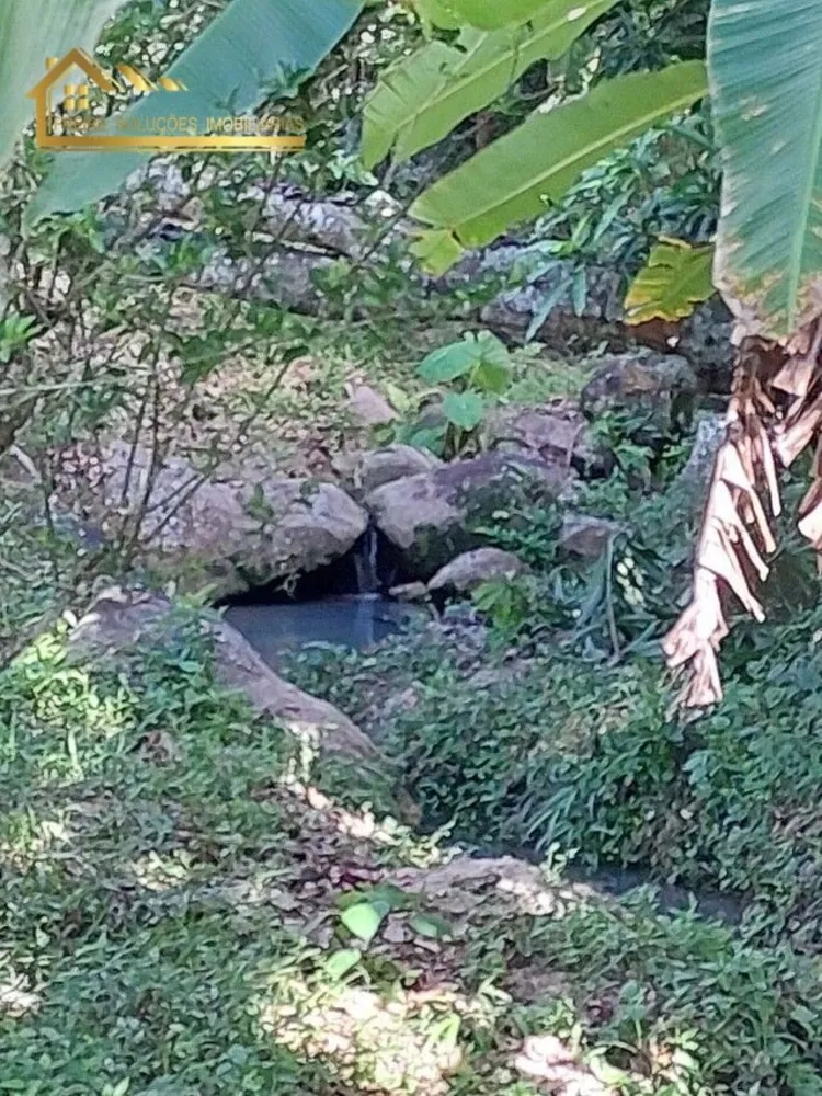 Sítio, 4 quartos, 38 hectares - Foto 23