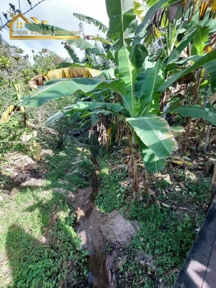 Sítio, 4 quartos, 38 hectares - Foto 30