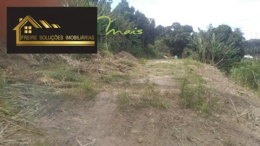 Terreno, 1 hectares - Foto 3