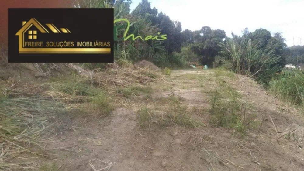 Terreno, 1 hectares - Foto 4