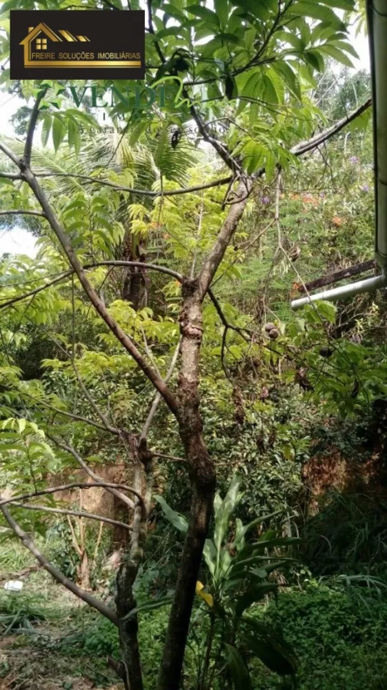 Terreno, 3 hectares - Foto 4