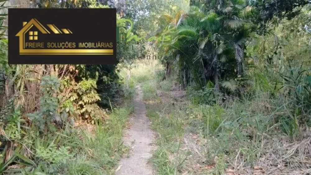Terreno, 3 hectares - Foto 7