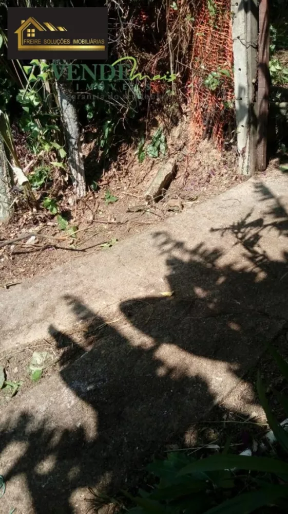 Terreno, 3 hectares - Foto 6