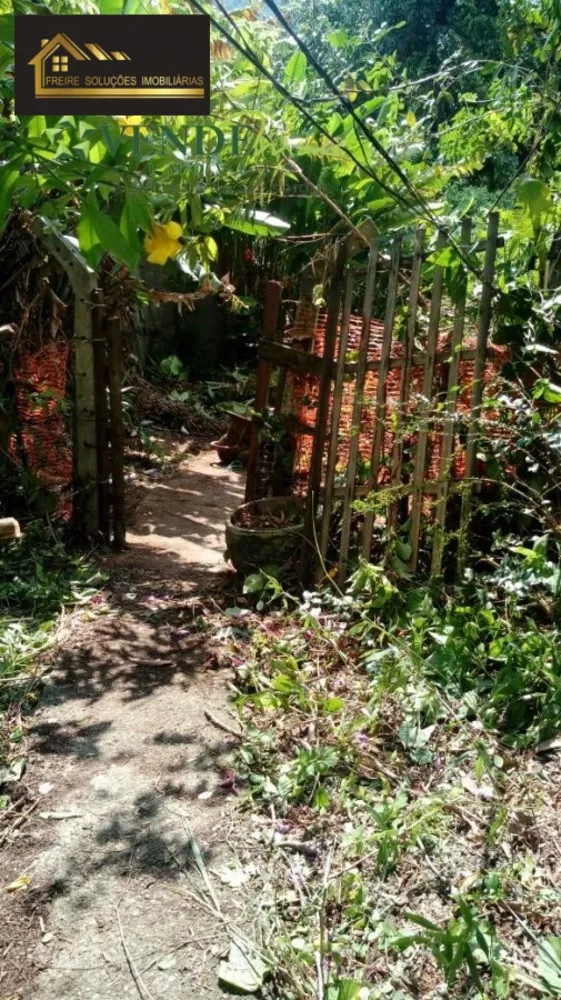 Terreno, 3 hectares - Foto 2