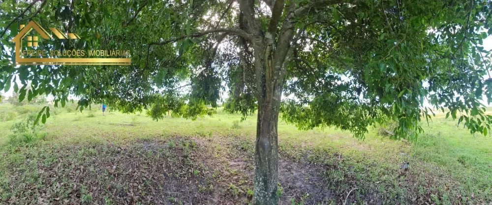 Fazenda, 126 hectares - Foto 12