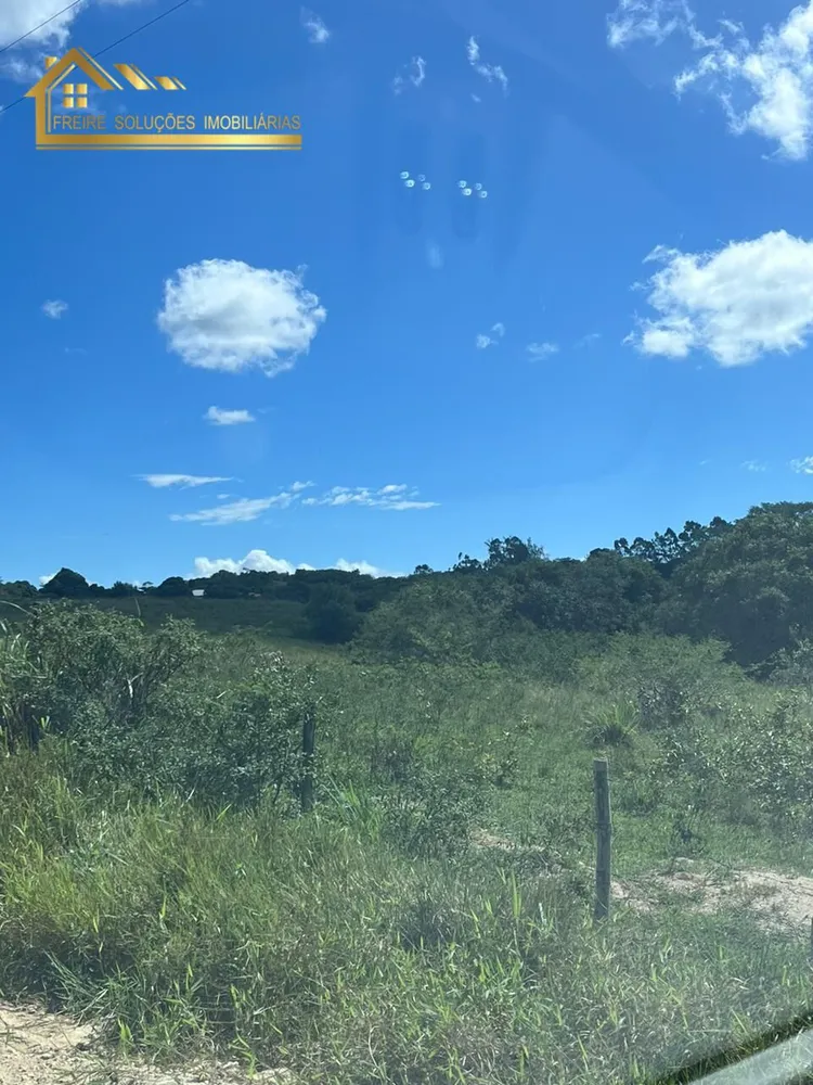Fazenda, 126 hectares - Foto 45