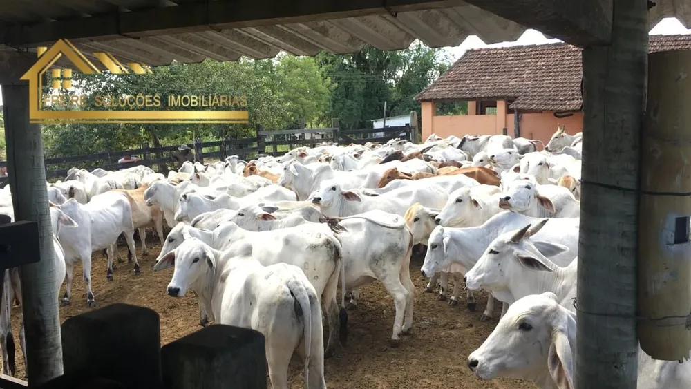 Fazenda, 126 hectares - Foto 48