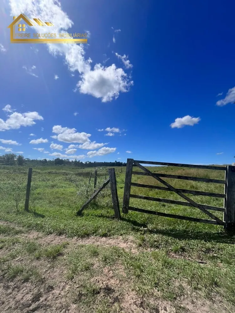 Fazenda, 126 hectares - Foto 36