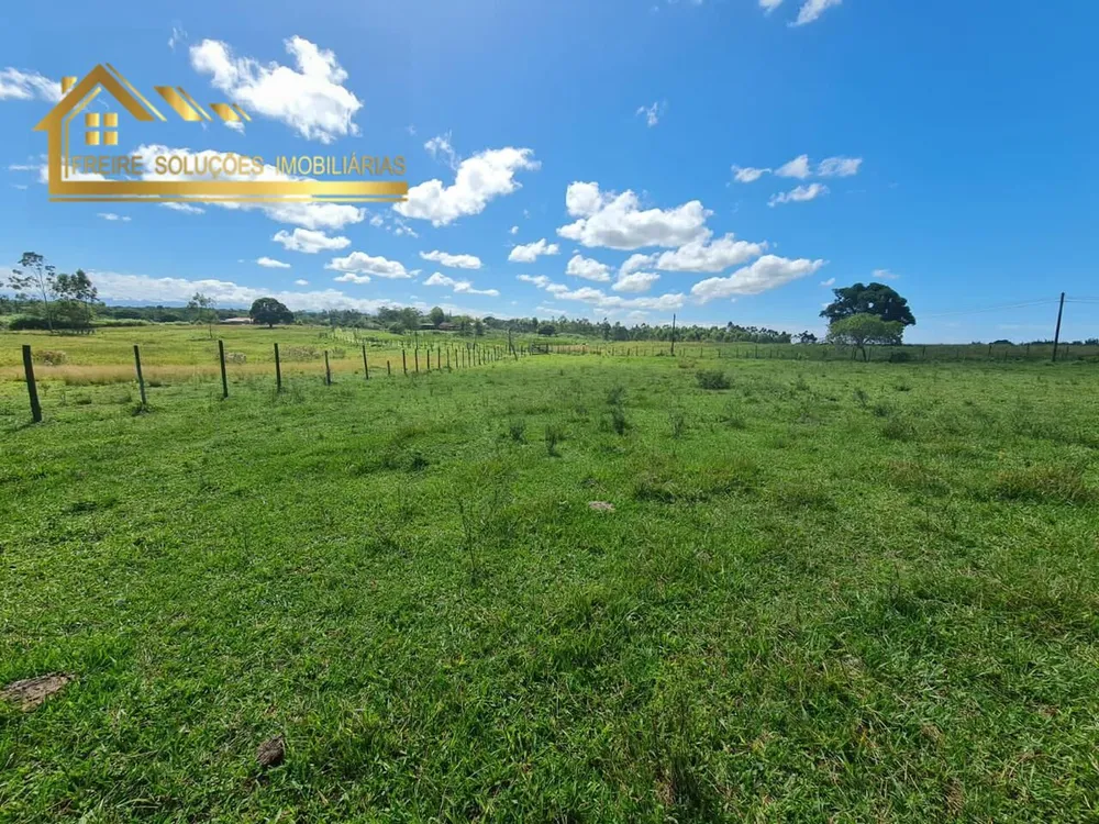 Fazenda, 126 hectares - Foto 23