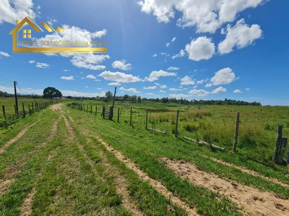Fazenda, 126 hectares - Foto 6