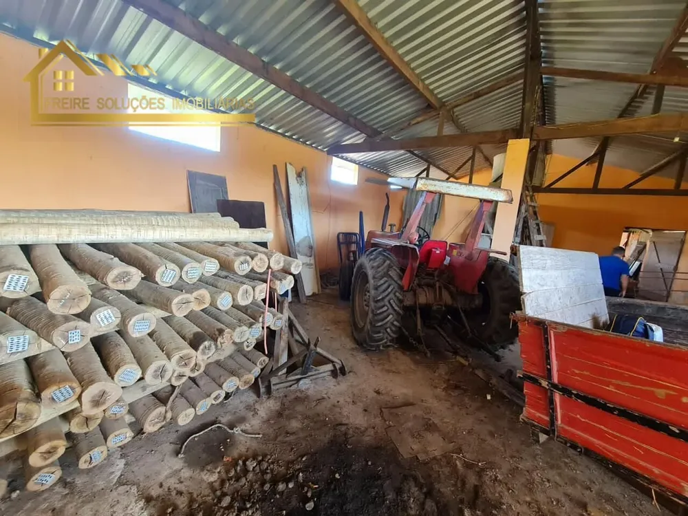 Fazenda, 126 hectares - Foto 10