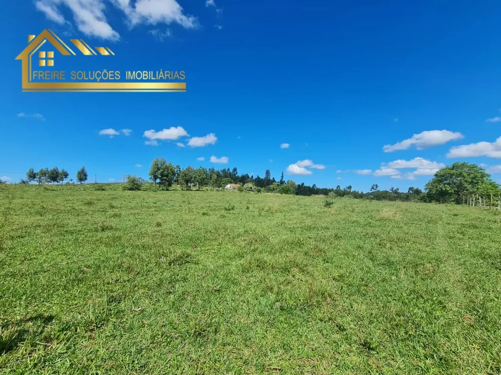 Fazenda, 126 hectares - Foto 22
