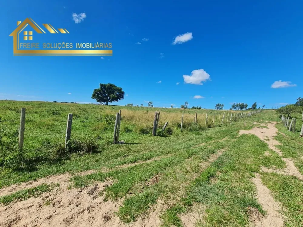 Fazenda, 126 hectares - Foto 20