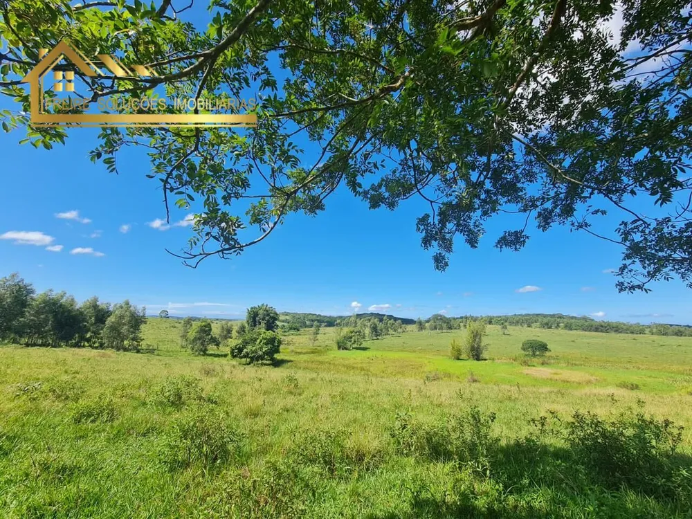 Fazenda, 126 hectares - Foto 26