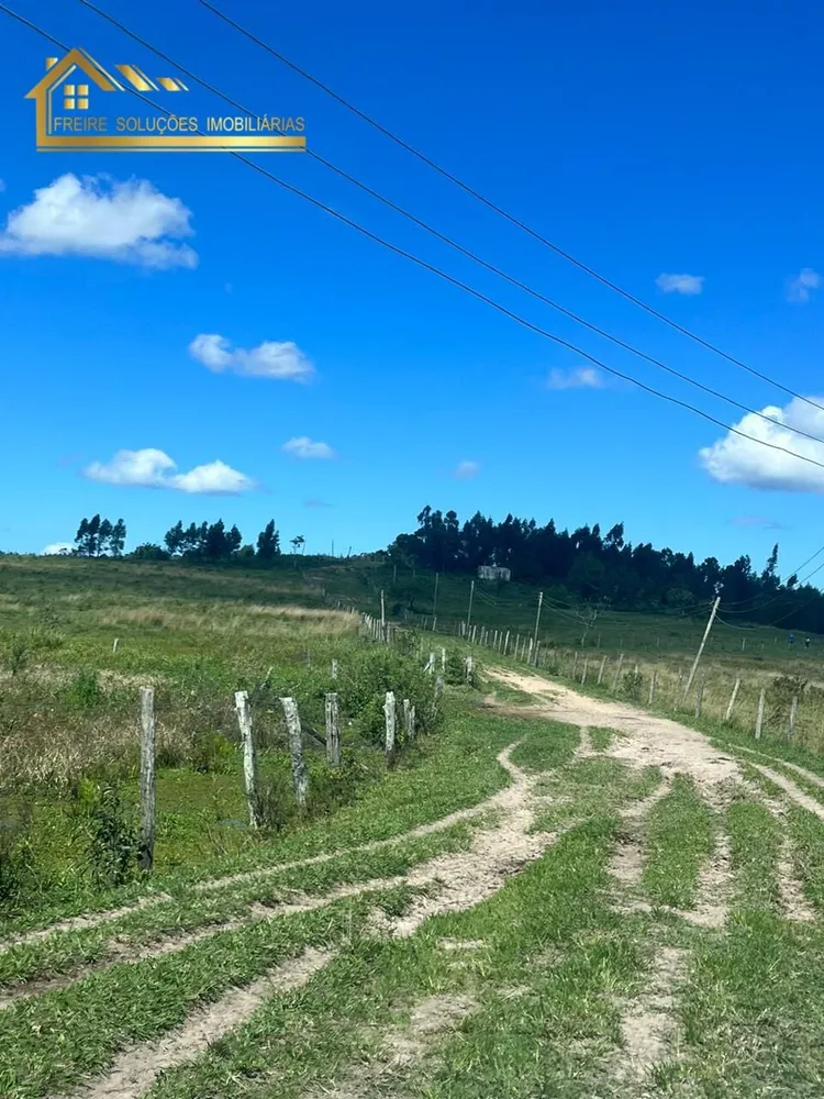 Fazenda, 126 hectares - Foto 37