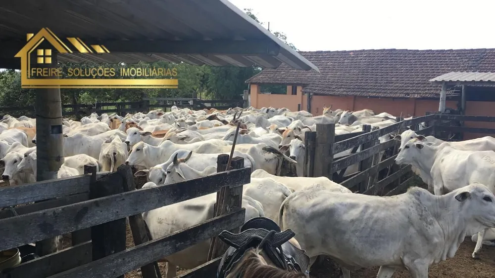 Fazenda, 126 hectares - Foto 47