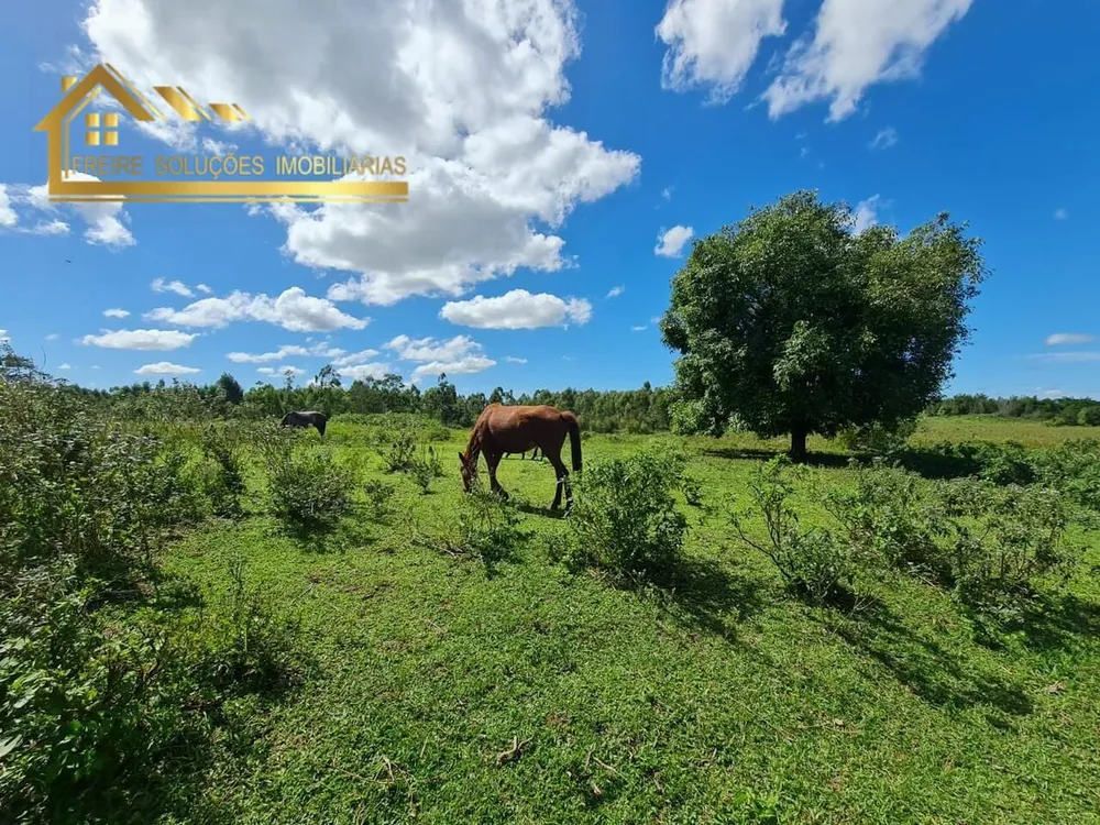 Fazenda, 126 hectares - Foto 14