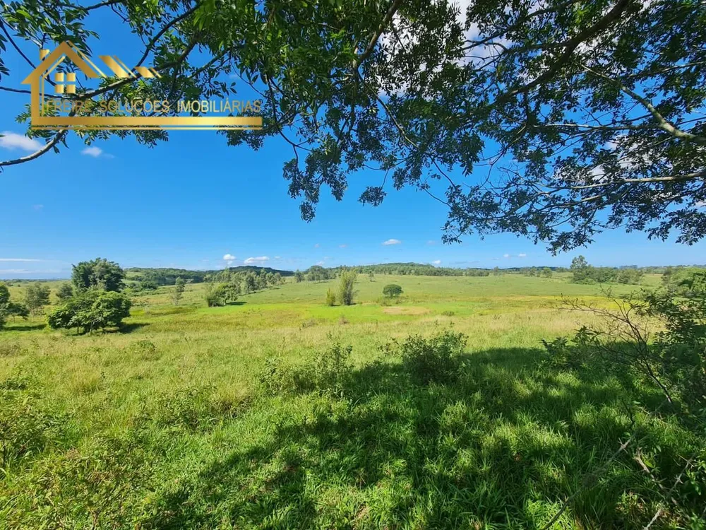 Fazenda, 126 hectares - Foto 25
