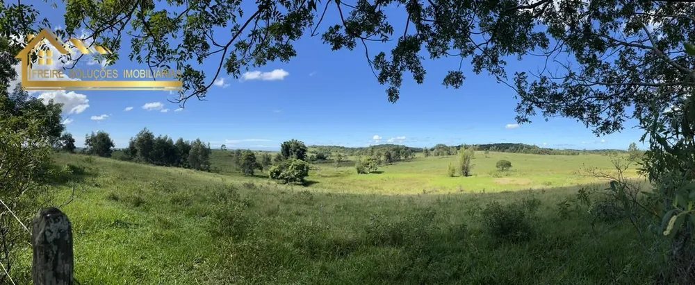 Fazenda, 126 hectares - Foto 31